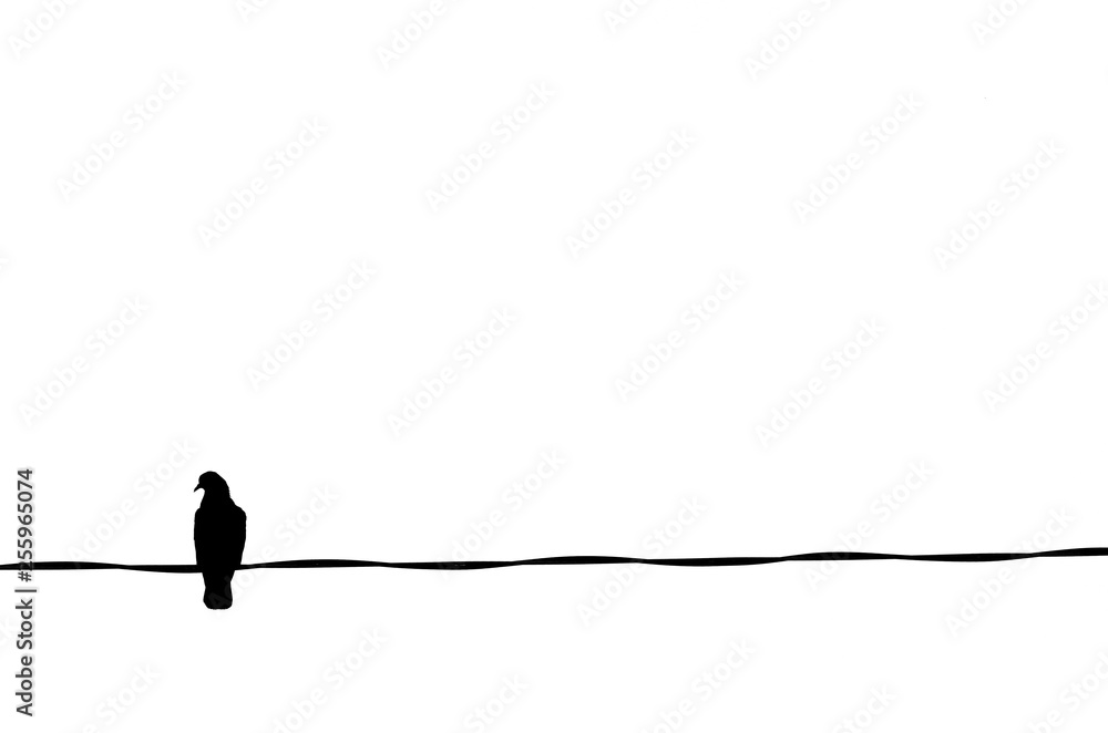 Silhouette pigeon are resting on electric wire Silhouette pigeon are resting on electric wire
