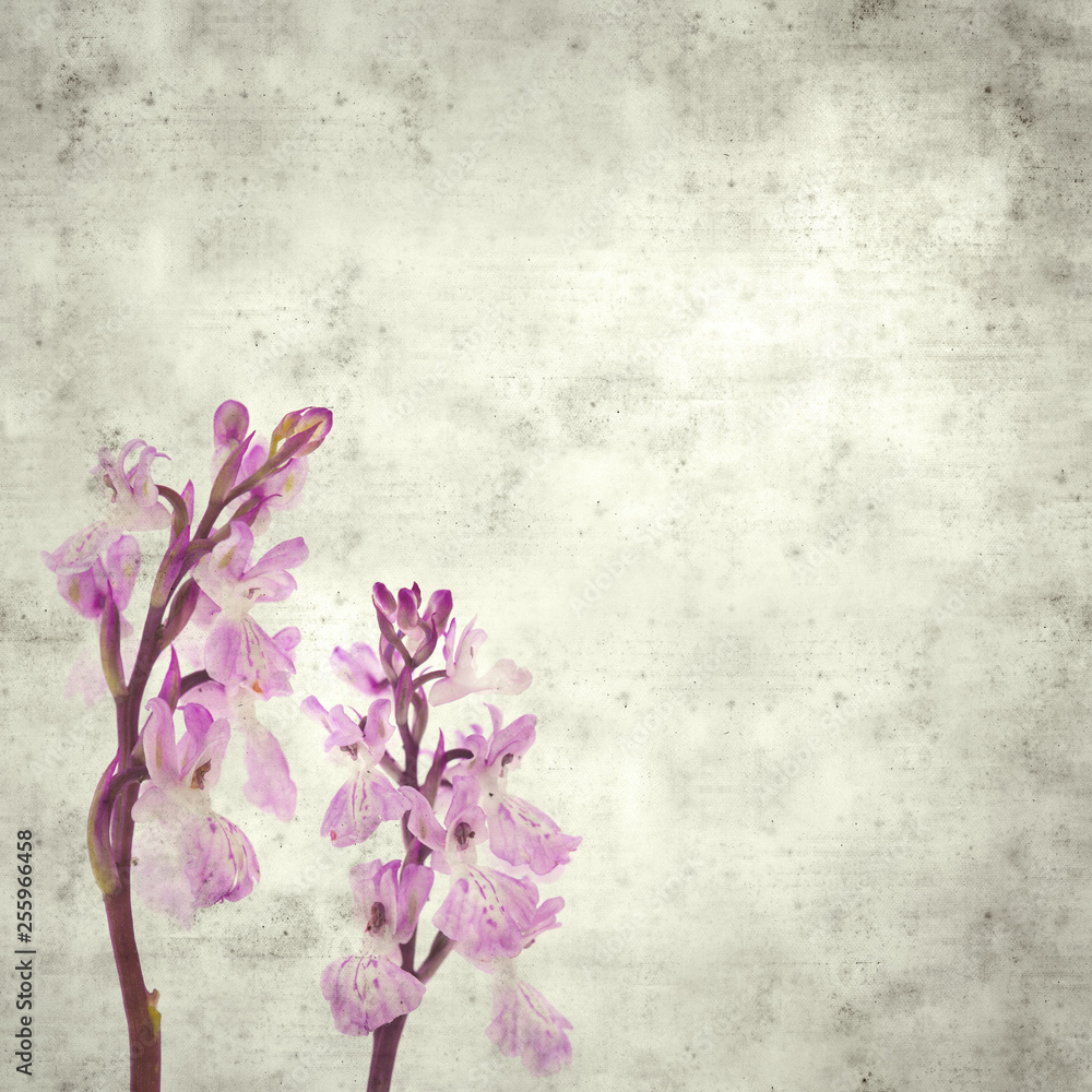 old paper background old paper background