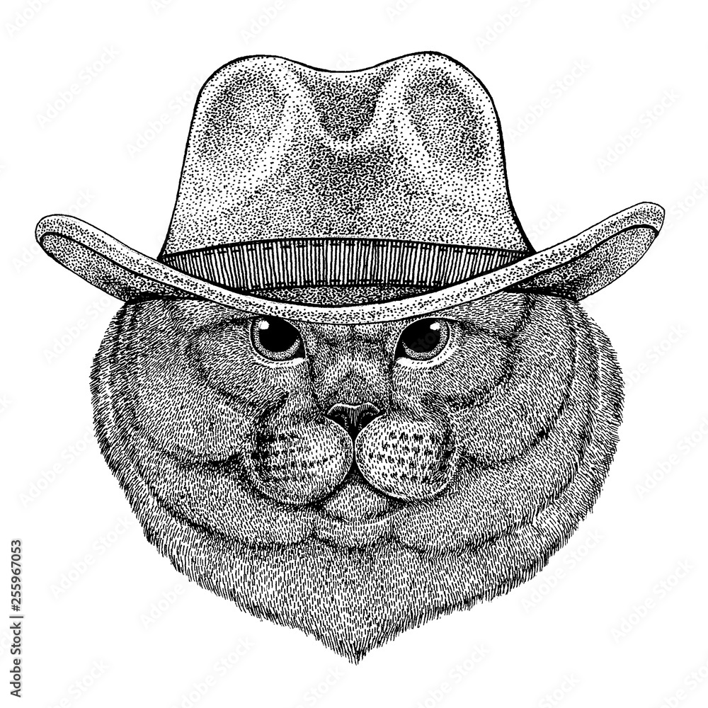 Cat wearing cowboy hat. Wild west animal. Hand drawn image for tattoo,  emblem, badge, logo, patch, t-shirt Stock Vector | Adobe Stock