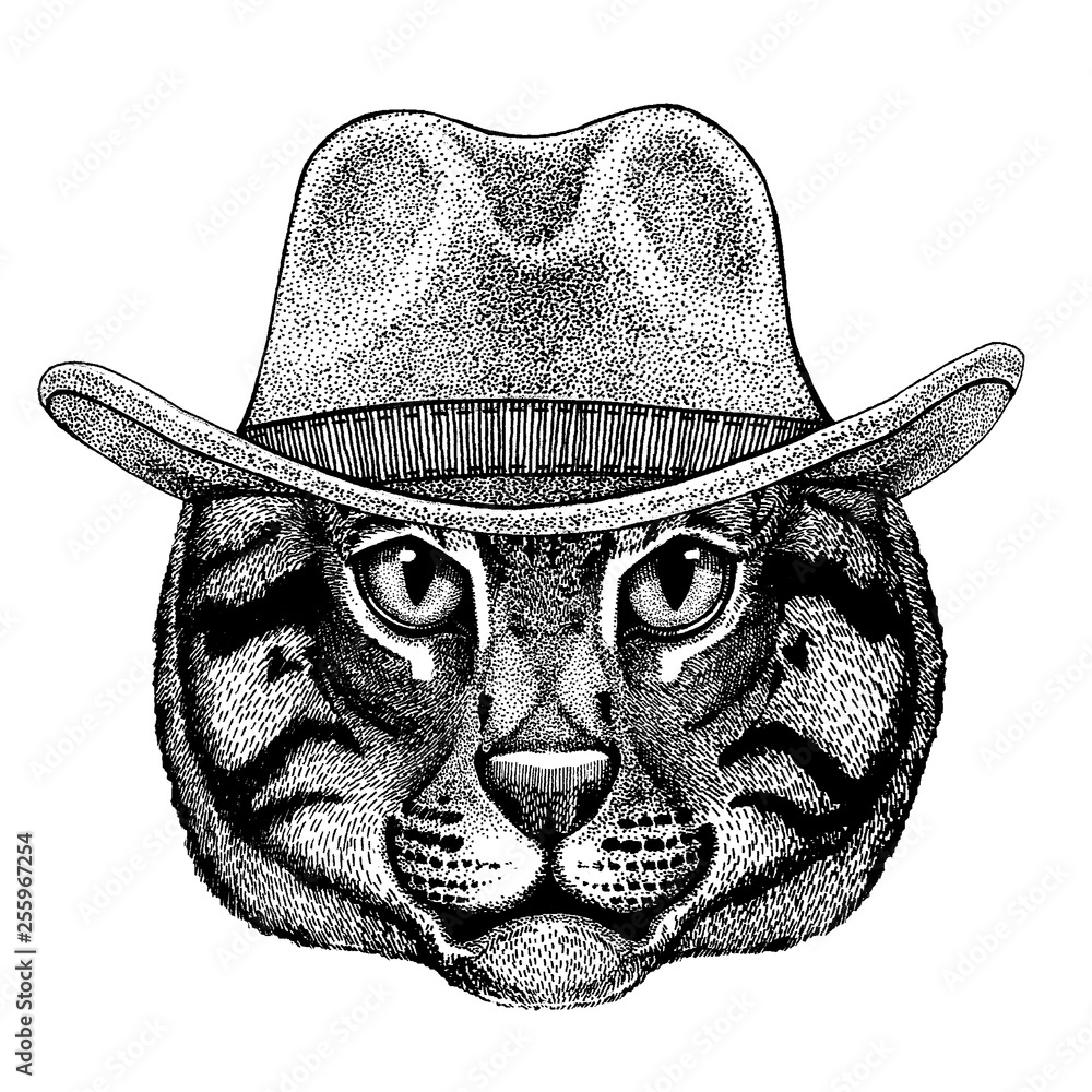 Wild cat Fishing cat wearing cowboy hat. Wild west animal. Hand drawn image  for tattoo, emblem, badge, logo, patch, t-shirt Stock Vector | Adobe Stock