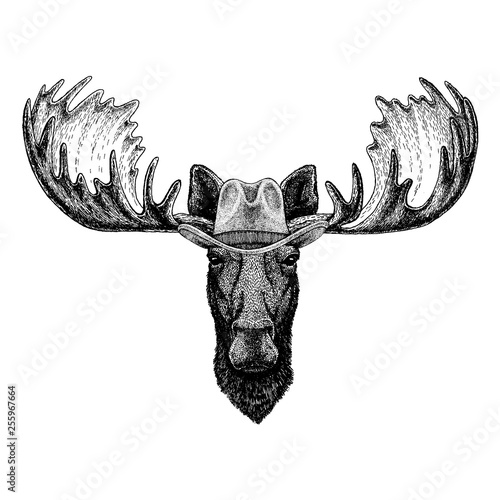 Moose, elk wearing cowboy hat. Wild west animal. Hand drawn image for tattoo, emblem, badge, logo, patch, t-shirt