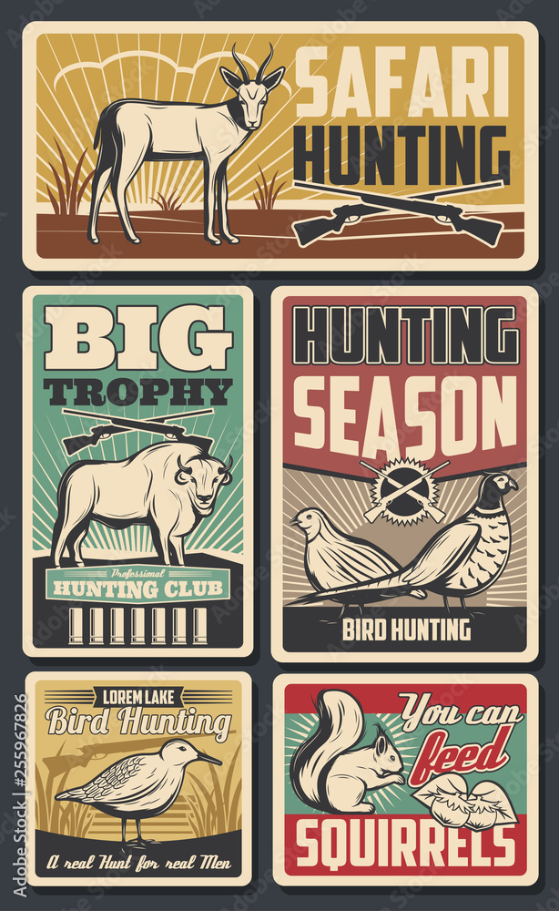 Hunting sport. Birds, deers and bulls, squirrel
