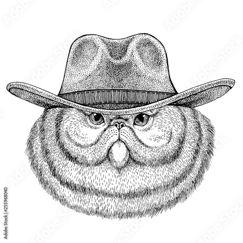 Cat wearing cowboy hat. Wild west animal. Hand drawn image for tattoo, emblem, badge, logo, patch, t-shirt