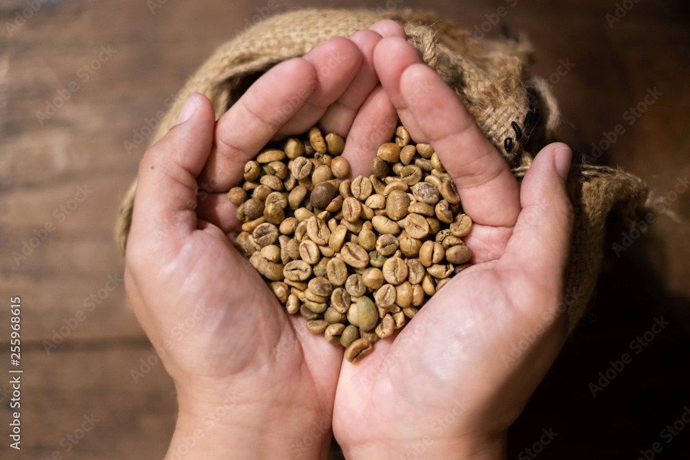 Coffee beans in the hands of heart shaped. Coffee beans in the hands of heart shaped.
