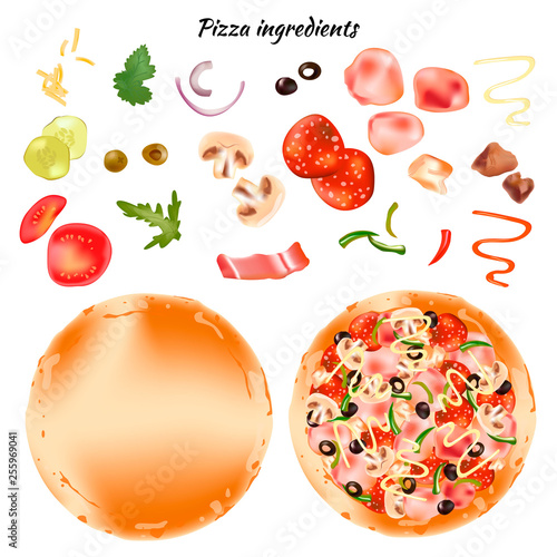 Fototapeta Naklejka Na Ścianę i Meble -  Ingredients for pizza. Realistic vector image. Collect pizza by yourself. Isolated illustration.