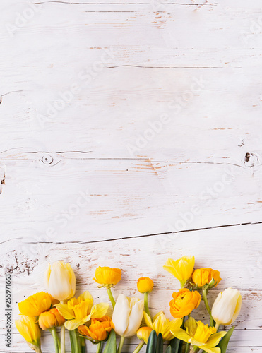 Yellow flowers on a white wooden background. Copy space.