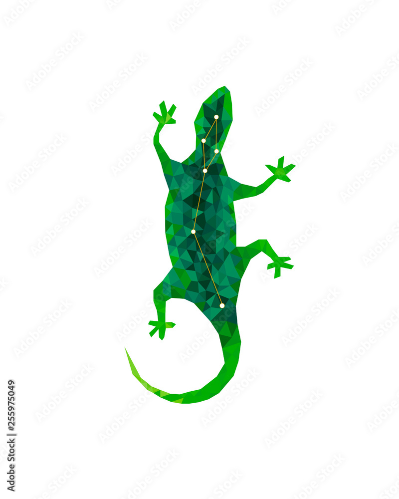 Fototapeta premium Lacerta – the lizard constellation.Green lizard in polygonal style. Starry sky lizard colorful modern geometric icon, wild animal isolated on the white background. Animal crystal constellation.