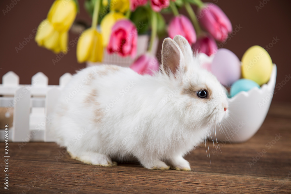 Obraz premium Easter rabbit in a shell of eggs. Pastel egg, flowers