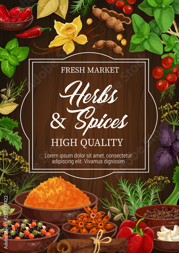 Herbs and spices, vector seasonings and condiments
