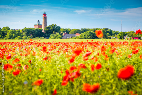 Obraz na płótnie Kap Arkona lighthouse with red poppy flowers in summer, Rügen, Ostsee, Germany w salonie