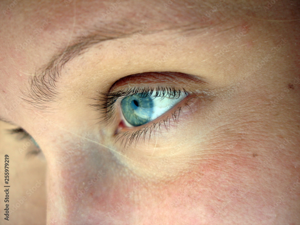 Obraz premium close up of human eye