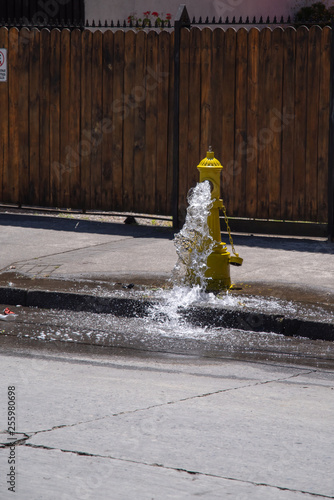 Wasser marsch photo