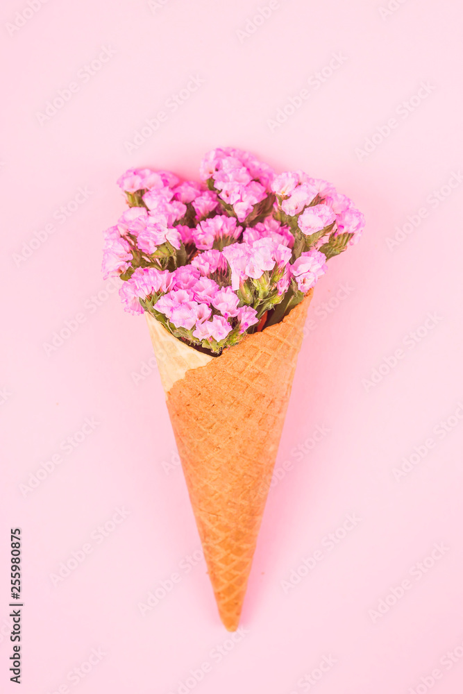 Beautiful pink flowers in a waffle cone for ice cream on a bright pink background. Top view, flat lay