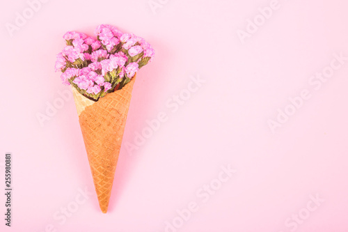 Beautiful pink flowers in a waffle cone for ice cream on a bright pink background. Top view, flat lay, copy space