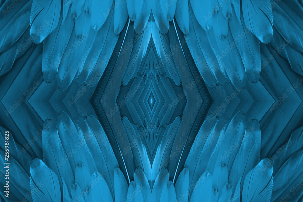 Obraz premium Closeup macaw feathers for background