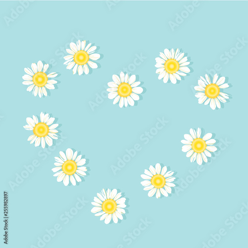 Set of White daisy or chamomile for background.Isolated. Vector illustration