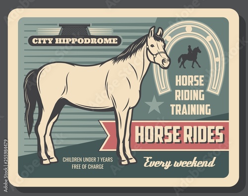 Equestrian sport horse riding, hippodrome