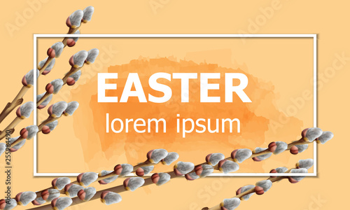 Easter card with willow branches Vector watercolor. Pussy willow branch detailed greetings