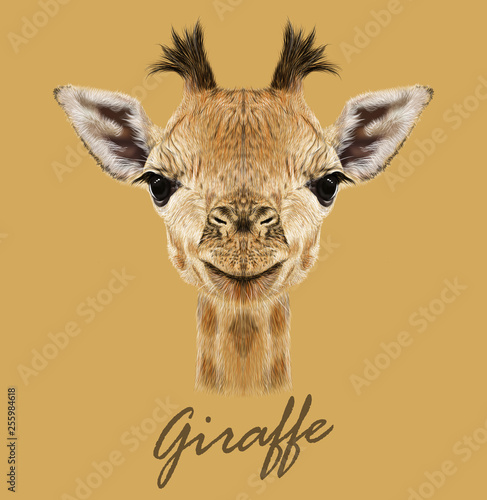 Giraffe animal face. Vector cute head of African giraffe. Realistic savannah wild fur giraffe portrait isolated on tan background.