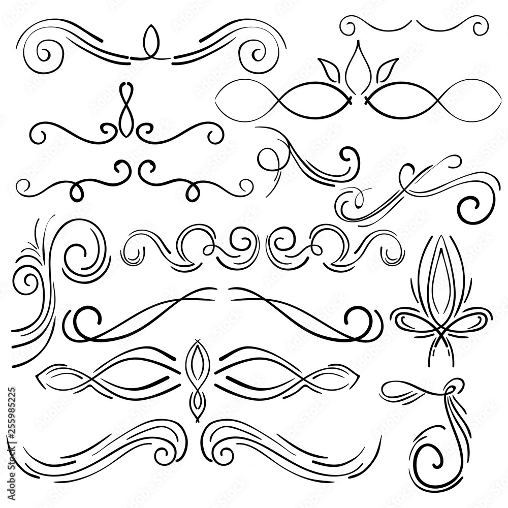 Fototapeta premium Doodle set of curls border text dividers. Hand drawn abstract text dividers, wedding decor design elements. Hand-drawn with ink and brush vector illustration 