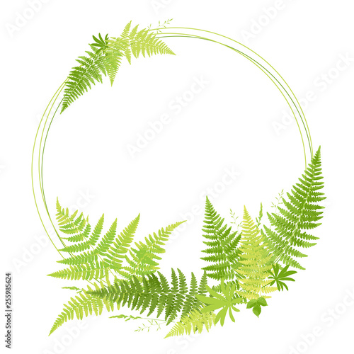 Frame with fern leaves. Template for the invitation. Wild field herbs. Forest background. Banner with foliage. Geometric frame