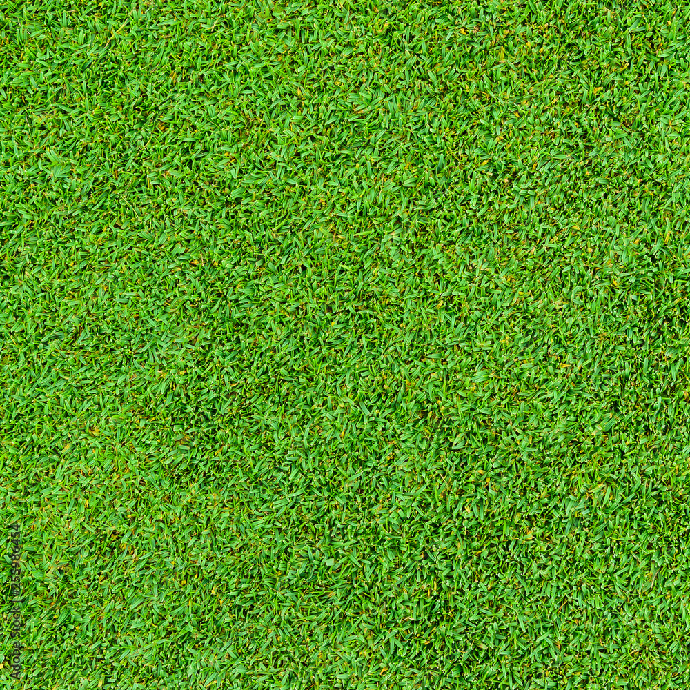 Fototapeta premium Background and texture of Beautiful green grass pattern from golf course