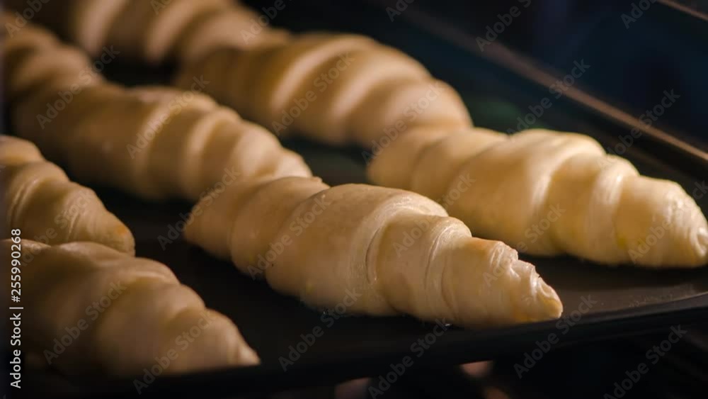 Food Timelapse Croissant