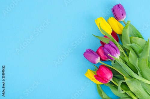 Fototapeta Naklejka Na Ścianę i Meble -  Bouquet of spring multicolored tulips on bright background.