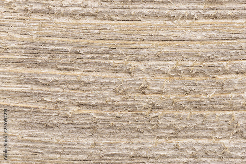 Close up on a white painted wooden plank as abstract background. Copy space for your text.