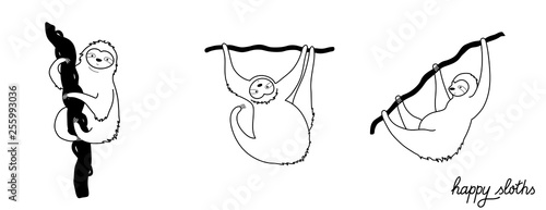 Vector illustration of cute character sloth