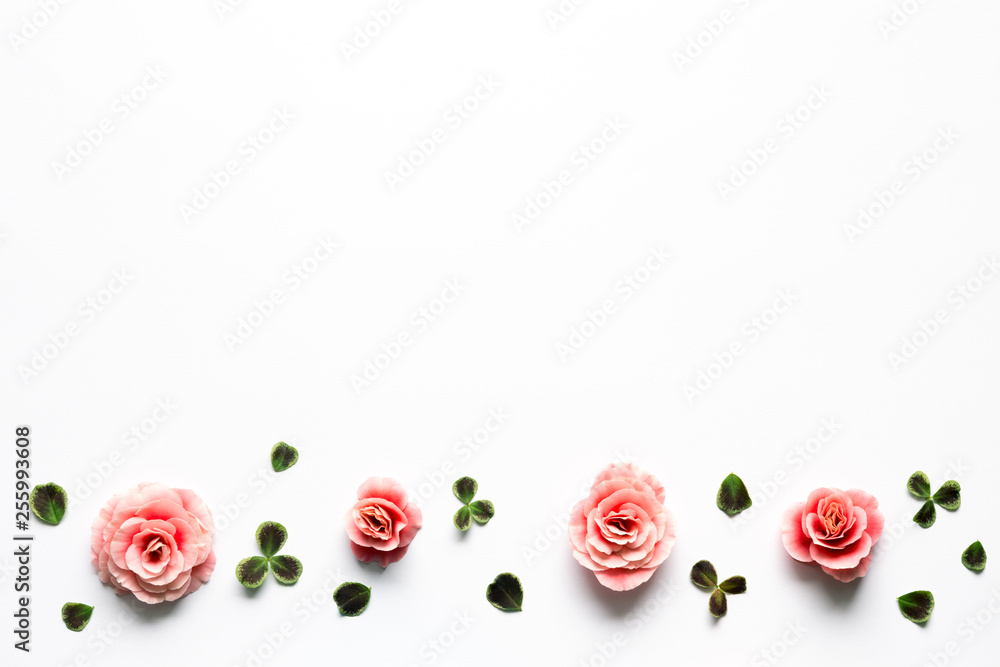 Spring Background With Pink Begonia Flowers And Clover Leaves