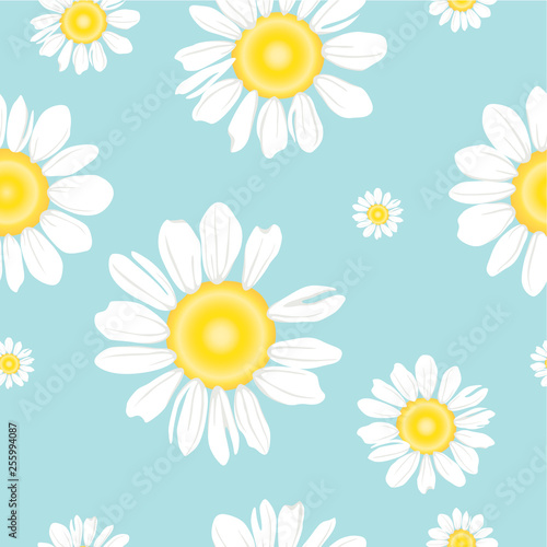 Seamless pattern of White daisy or chamomile for background.Isolated. Vector illustration