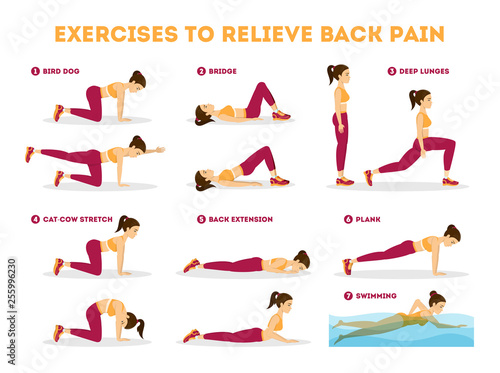 Exercise set to relieve back pain. Stretching and training