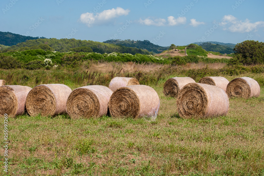 Many bales of hay between hills of Tuscany