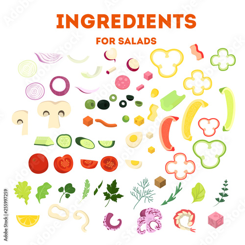 Fresh organic salad set. Healthy dinner made of vegetable