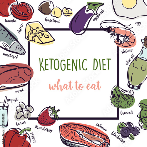 Ketogenic Diet vector sketch banner illustration. Healthy concept with food illustration collection - fats, proteins and carbs on one Keto vector illustration