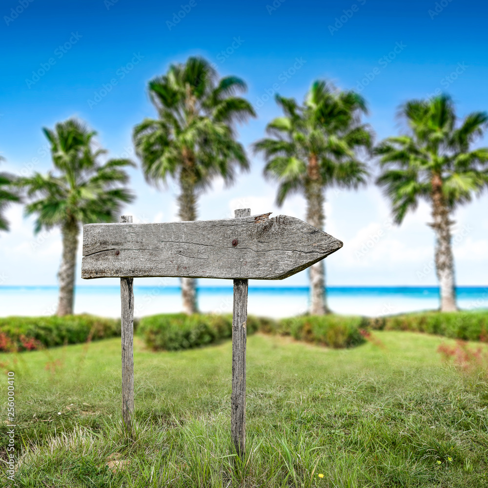Naklejka premium signpost and palms 