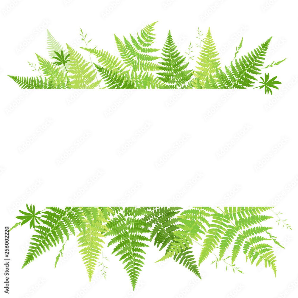 Frame with fern leaves. Template for the invitation. Wild field herbs. Forest background. Banner with foliage - obrazy, fototapety, plakaty 