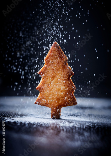biscuit sapin