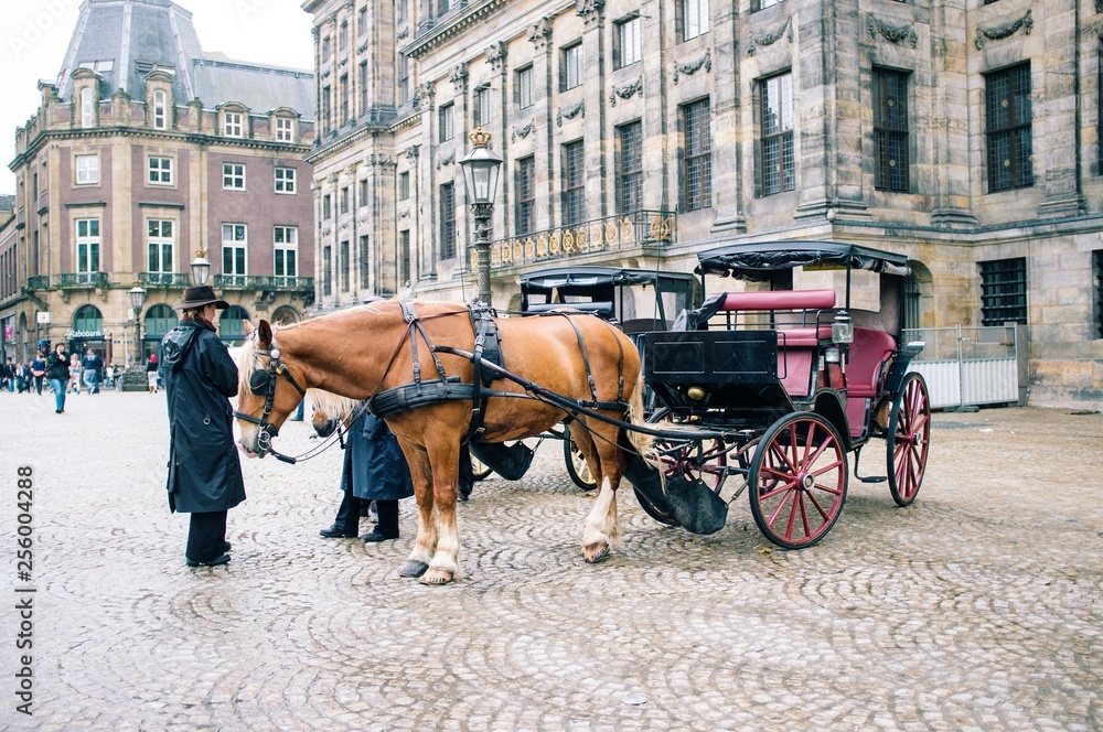 Horse and Carriage in Amsterdam