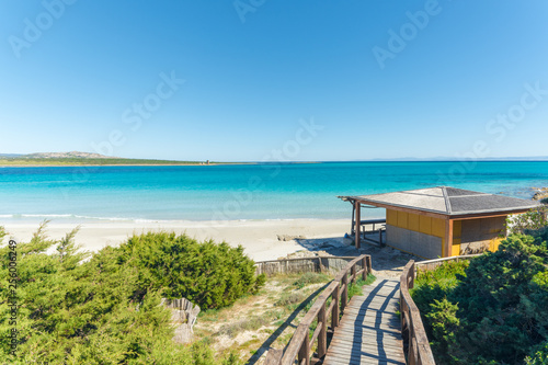 landscape of La Pelosa beach in a sunny day