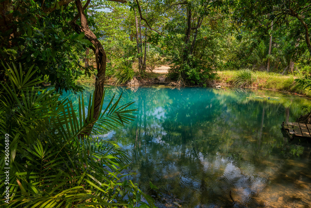 Emerald water in forest. Blue lake in jungle Emerald water in forest. Blue lake in jungle