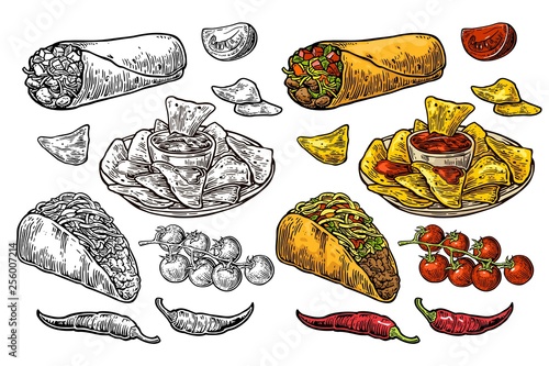 Mexican traditional food set burrito, tacos, chili, tomato, nachos. Engraving photo