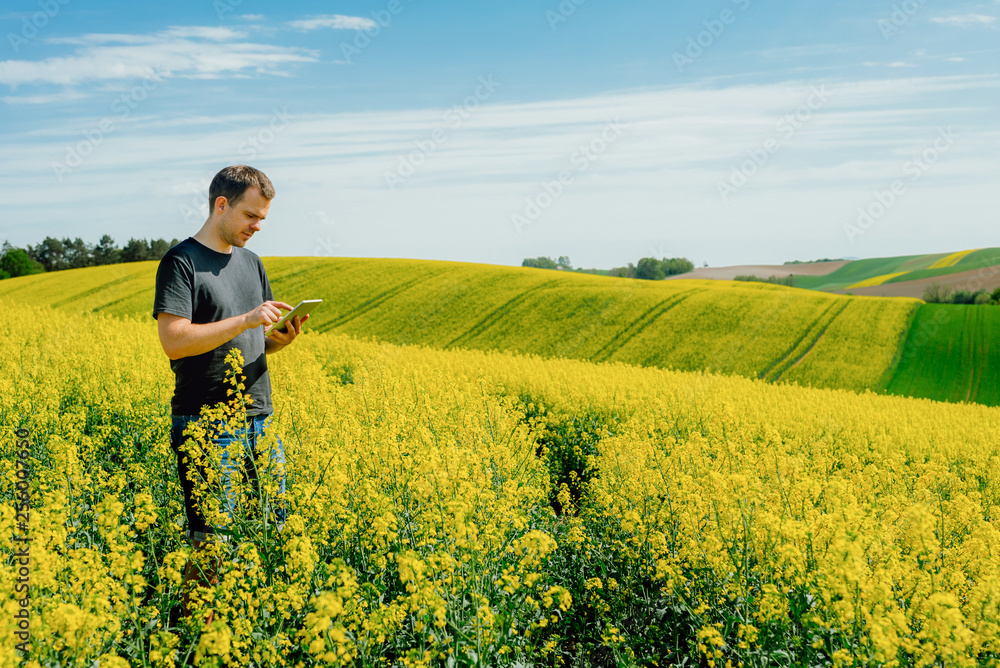 Agriculture Farmer holding tablet Agriculture Farmer holding tablet