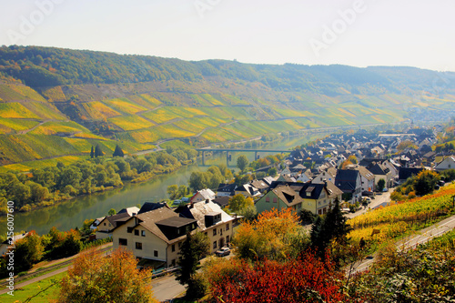 Weinort Reil an der Mosel im Herbst photo