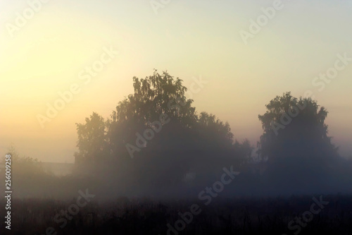 Picturesque fairy sunrise over a misty meadow in summer morning