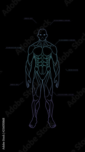 contour shape human body anatomy neon hologram projected at black background , sci fi interface design element , vector illustration