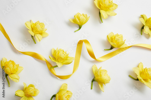 top view of yellow narcissus flowers and yellow satin ribbon on white