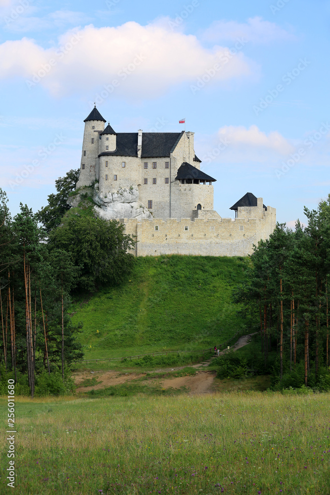 Mirów Castle in Poland and around
