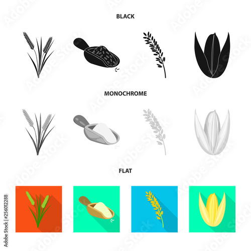 Vector design of crop and ecological symbol. Set of crop and cooking vector icon for stock.
